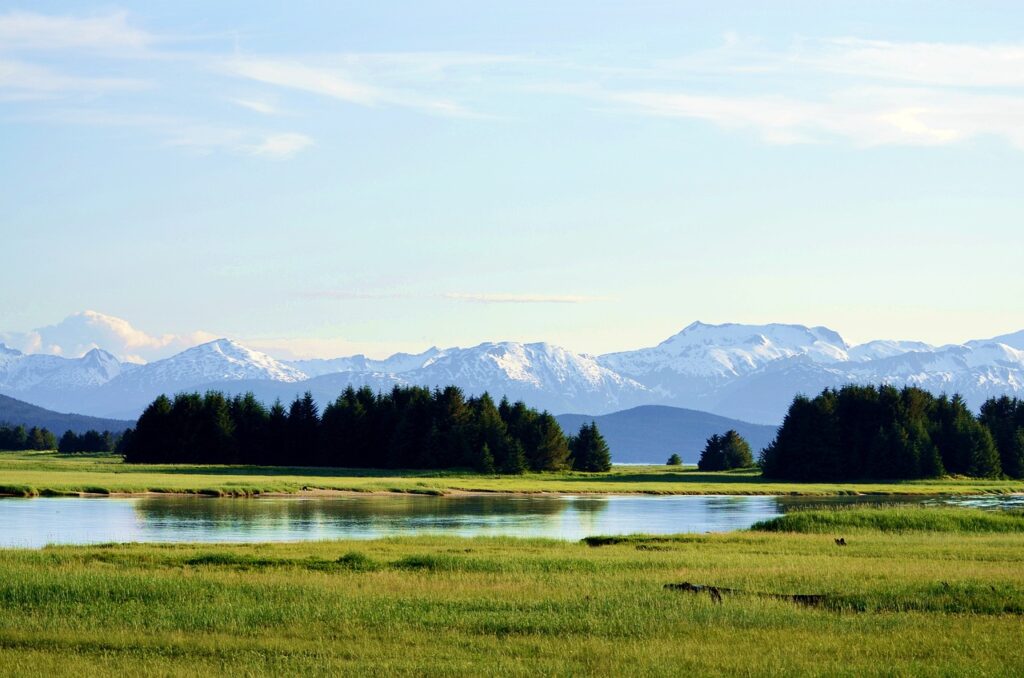 Alaska meadow with green grass, calm water, and distant snow-capped mountains under a clear sky.